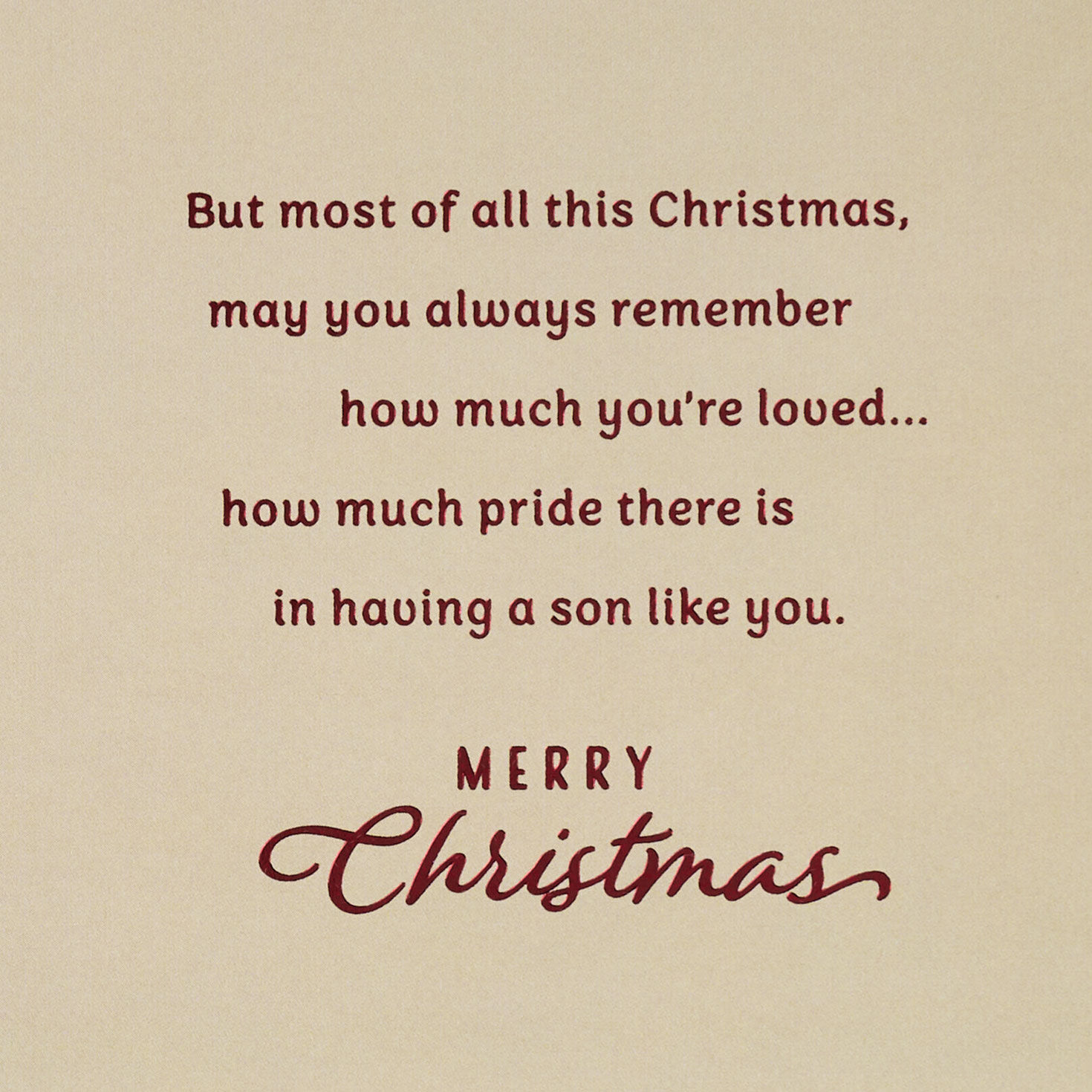 Cardinal in Snowy Tree Son Christmas Card sentiment image number 3