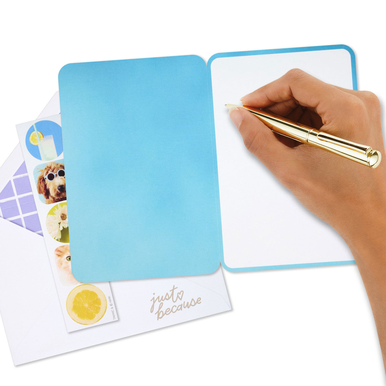 Dog and Cat Just Because Cards Pack With Stickers Signing card image number 7