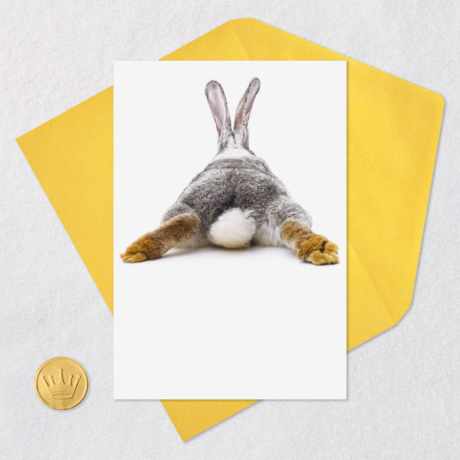 Bunny Rabbit Butt Funny Easter Card Card Front with Envelope and Gold Seal image number 4