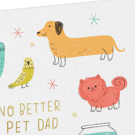 No Better Pet Dad than You Father's Day Card, , large image number 4