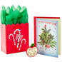 Best Teacher Ornament Christmas Gift Set, , large image number 1