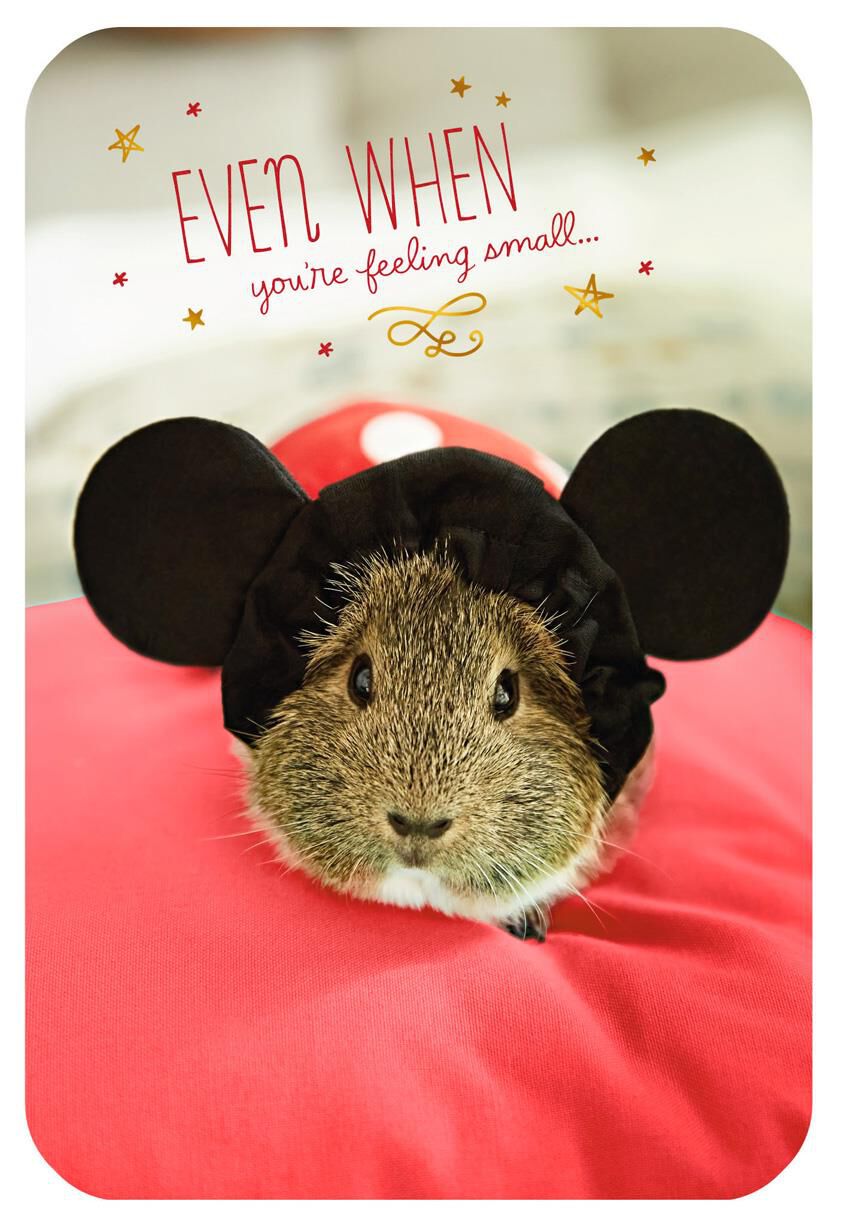 Mickey Mouse Guinea Pig Encouragement Card
