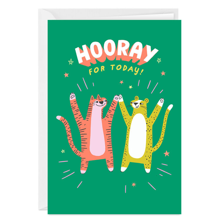 Hooray for Today Silly Cats Custom Congratulations Card