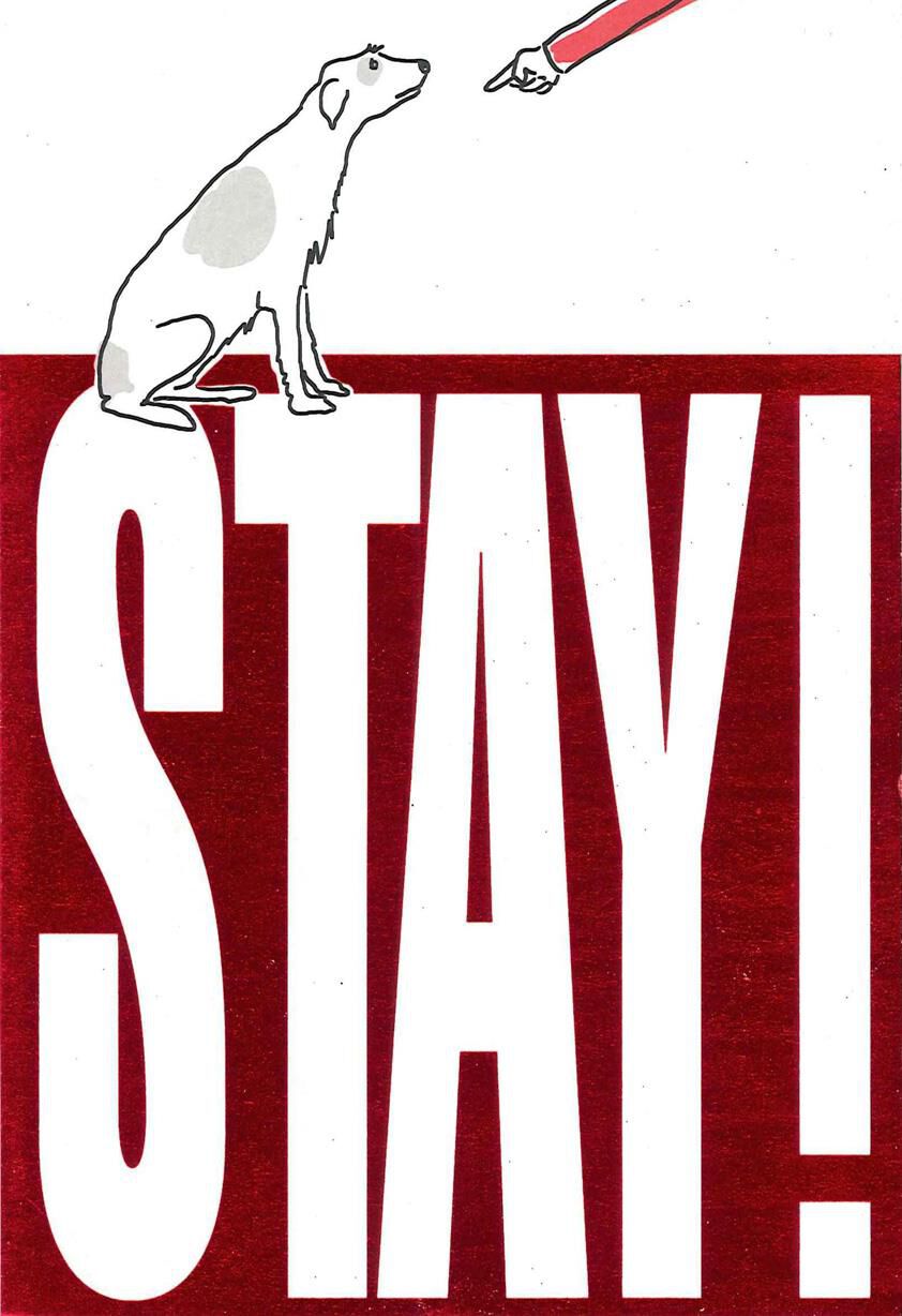 STAY! Goodbye Card