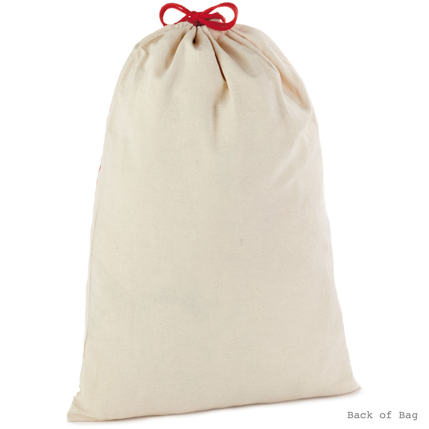 Special Delivery From Santa XL Fabric Gift Bag  image number 6