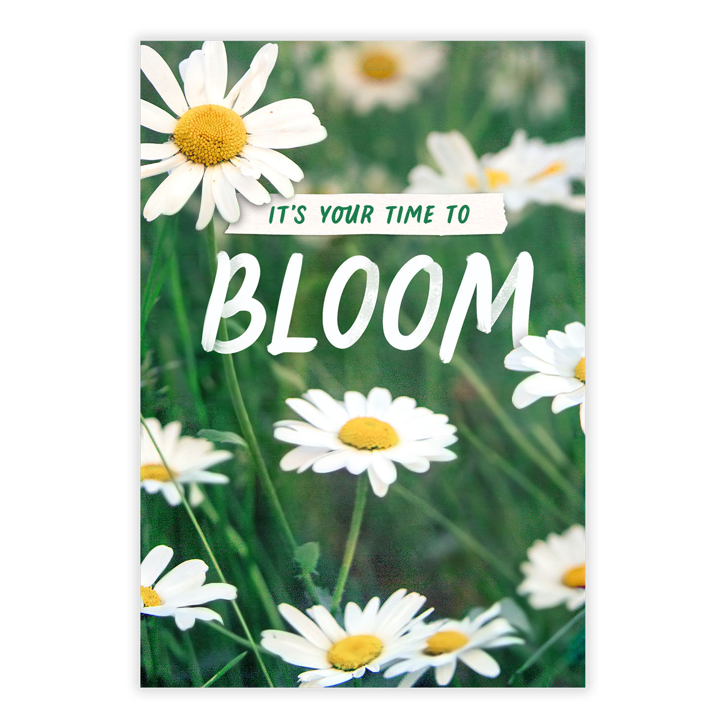 White Daisies Personalized Encouragement Card front image number 2