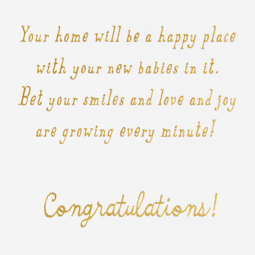 The Love Is Multiplying New Baby Card for Multiple Babies, 