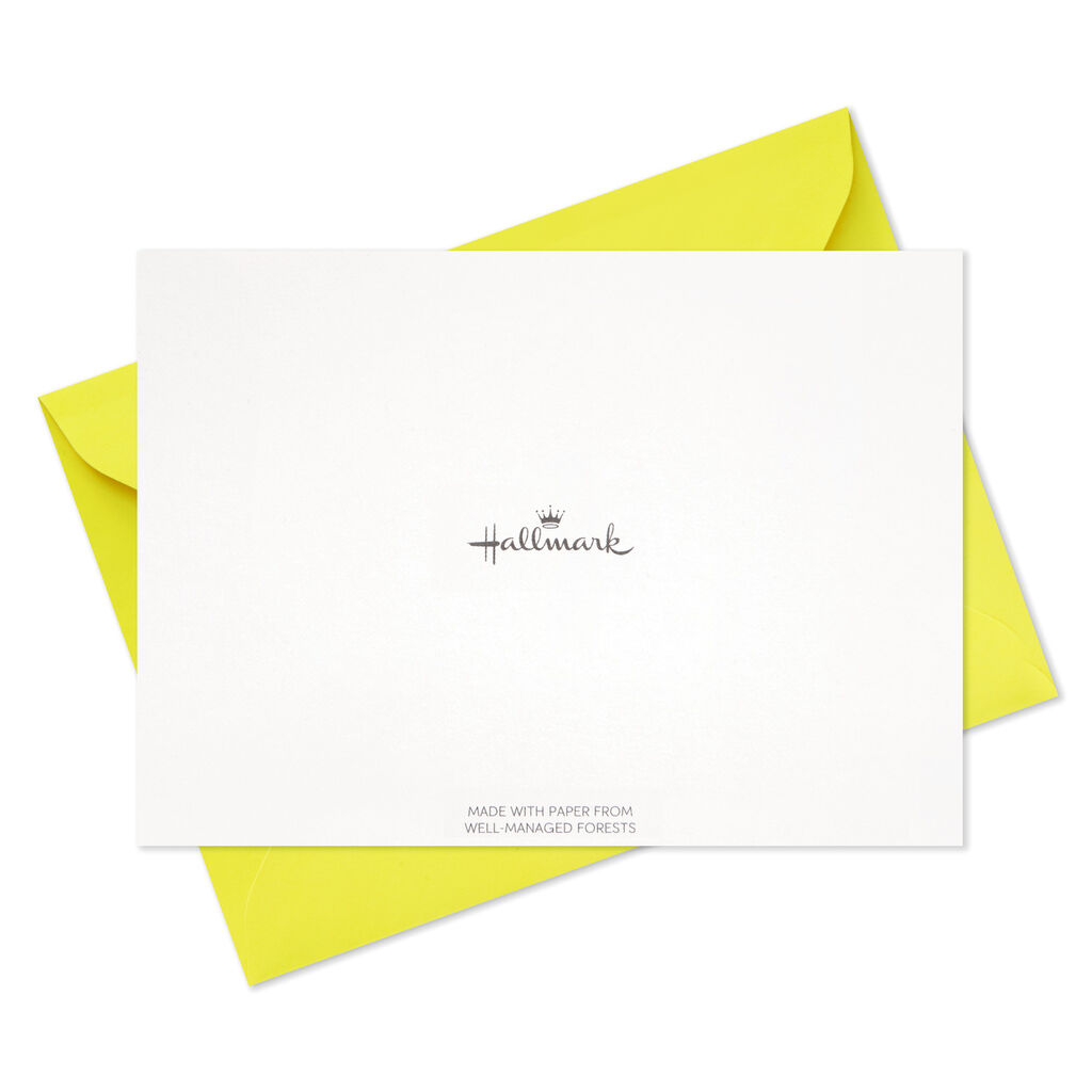 Assorted Blank Note Cards In Abstract Designed Caddy Set Of 40