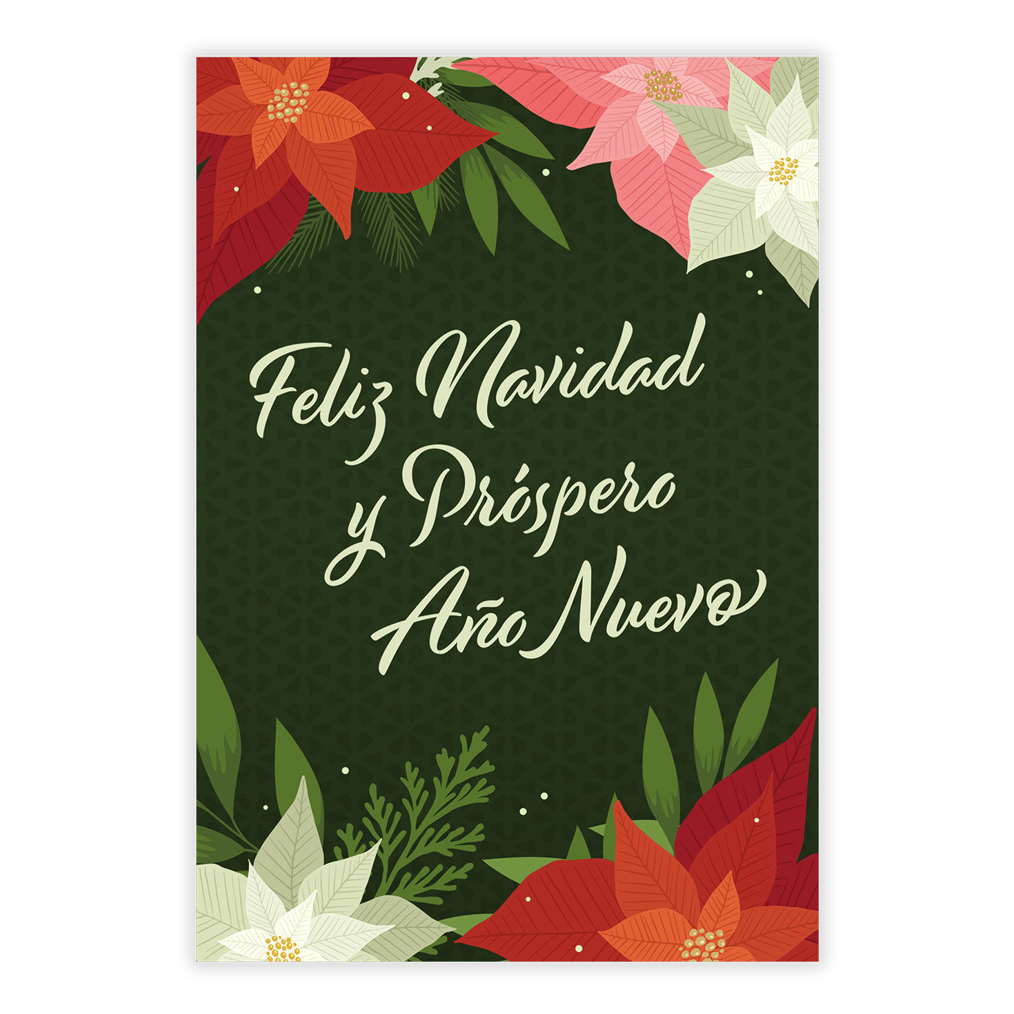 Red Pink White Poinsettias Christmas Card in Spanish front image number 2