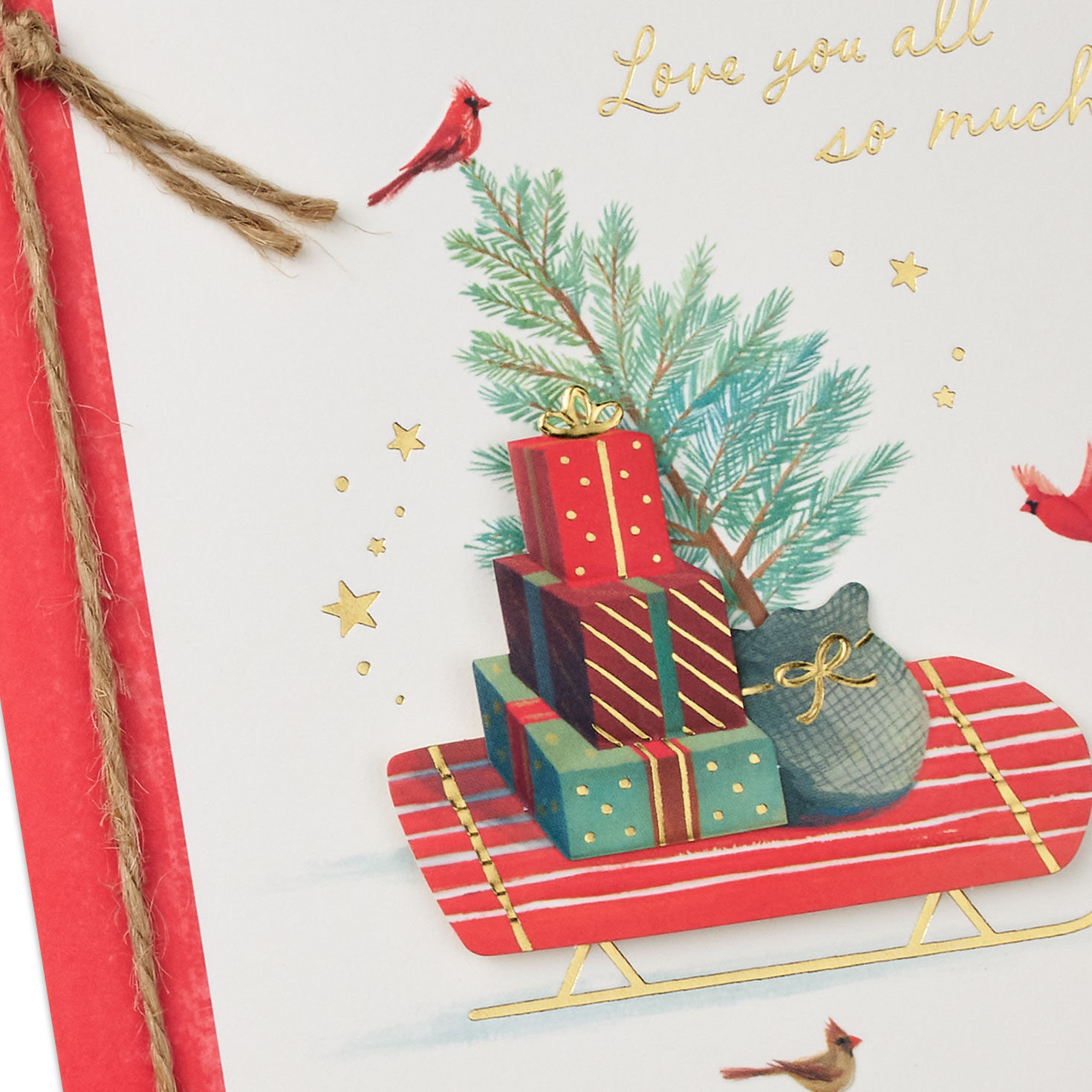 Cardinal Sleigh Christmas Card for Son and Family Card Front Detail image number 5