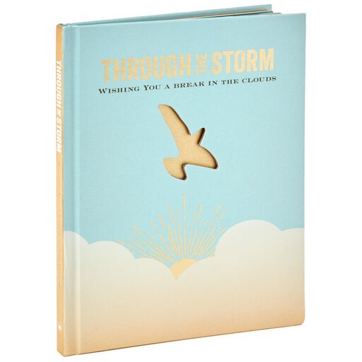 Through the Storm: Wishing You a Break in the Clouds Book, 