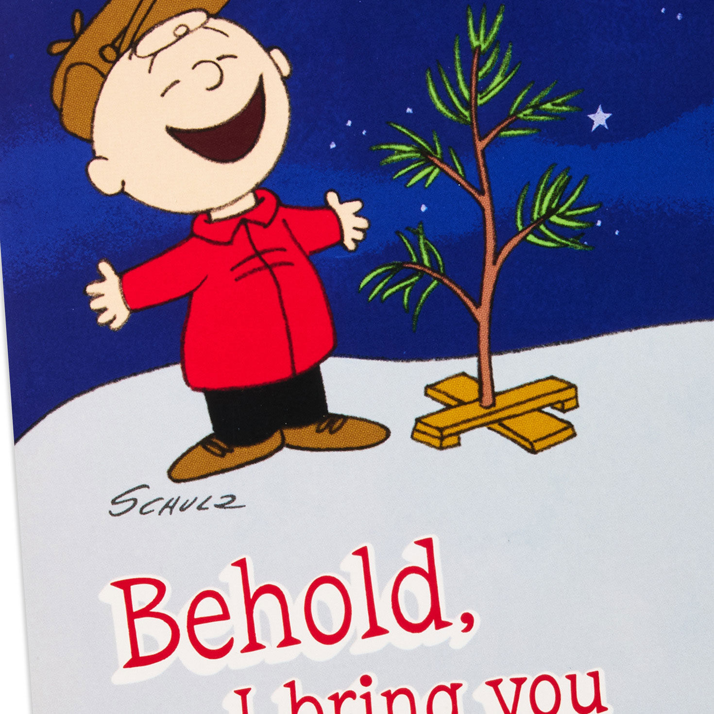 Peanuts Charlie Brown and Tree Christmas Cards Pack front detail image number 6