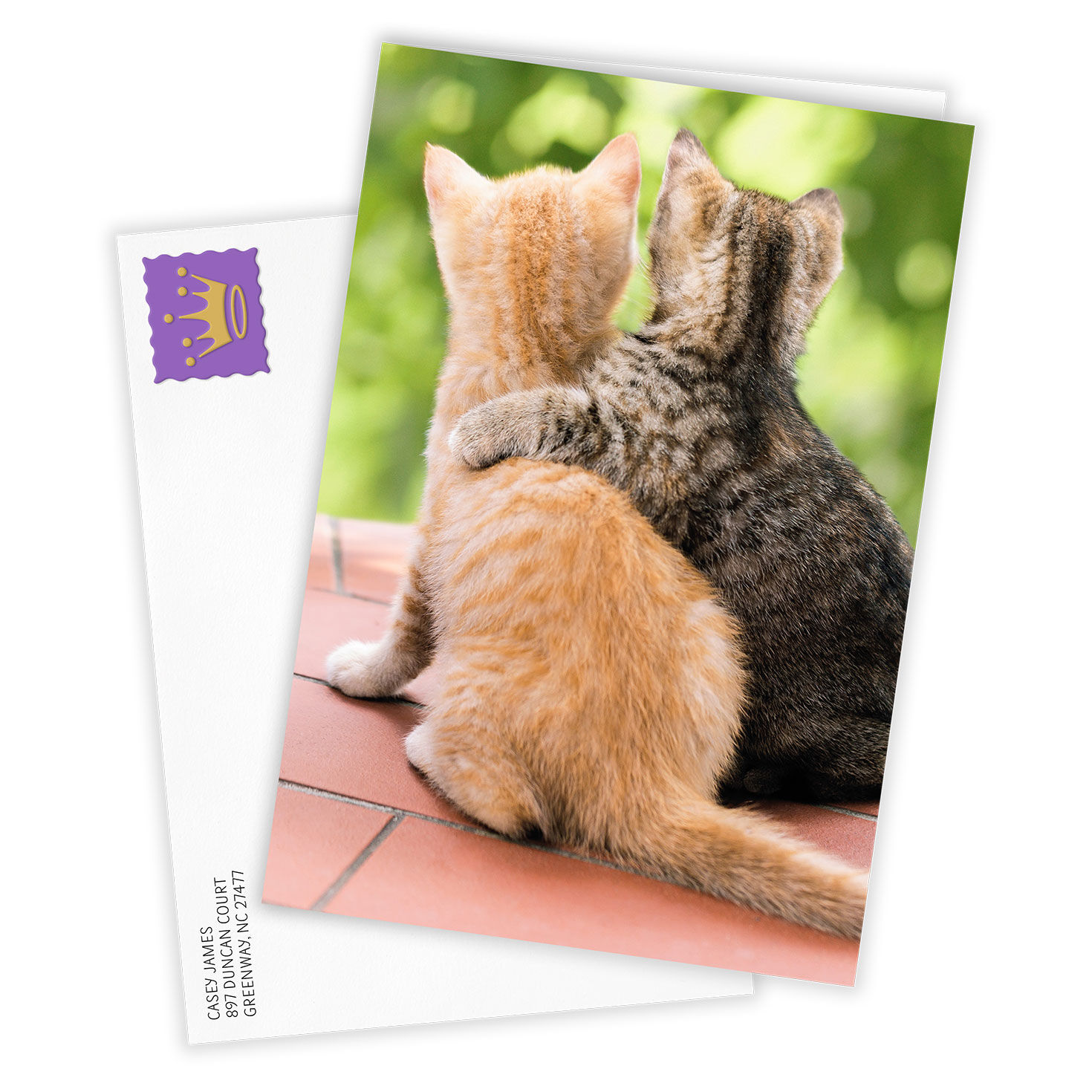 A Friend Like You Friendship, , large image number 2