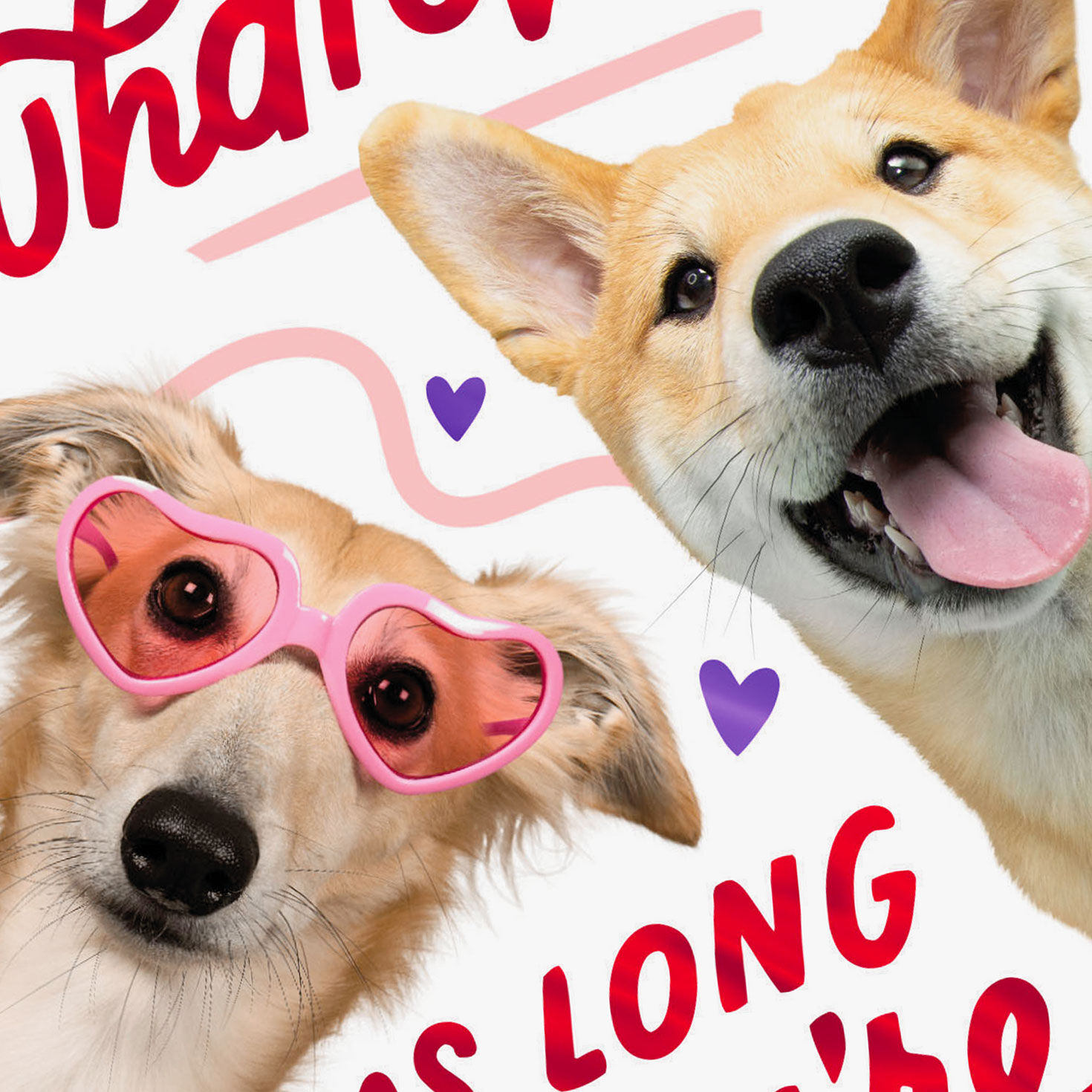 Playful Pups Valentine's Day Card Card Front Detail image number 4