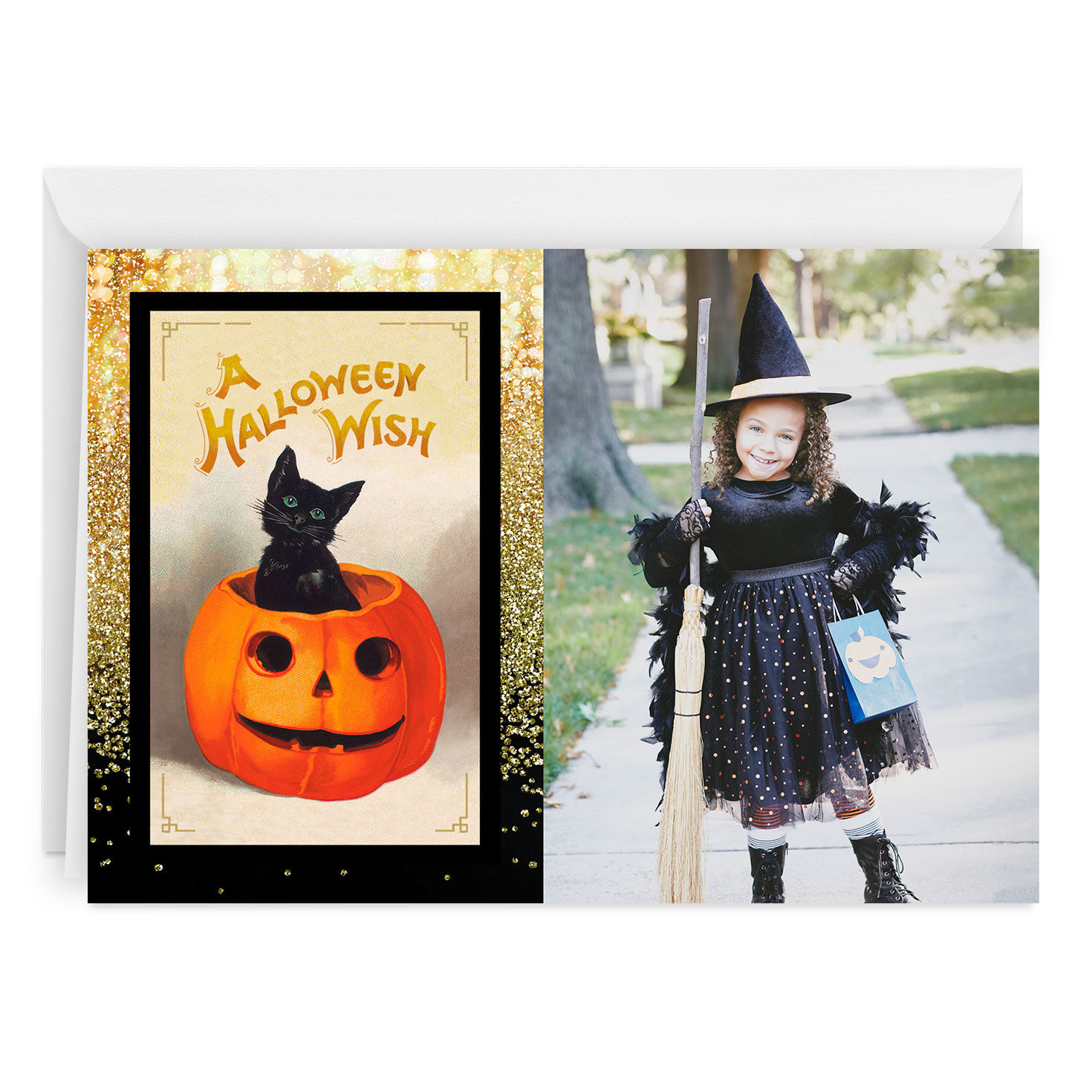 Vintage Black Cat Design Folded Halloween Photo Card