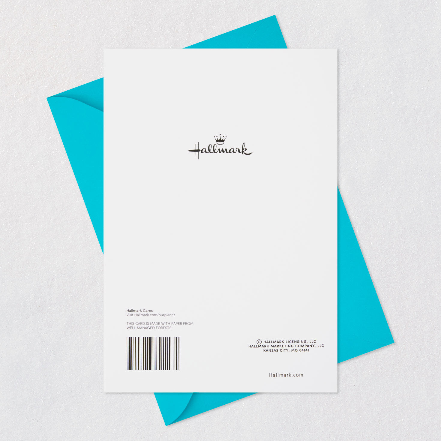 Two Penguins Holding Hands Anniversary Card for Couple, , large image number 7