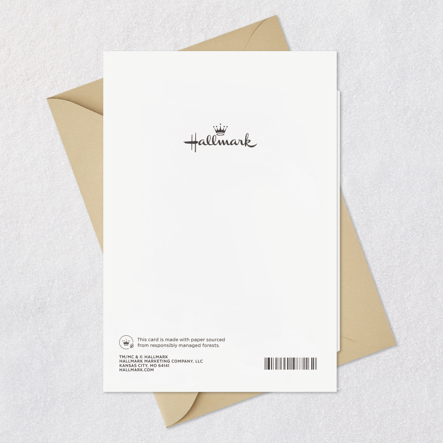 Better Than a Fairy Tale Anniversary Card for Family, , large image number 7