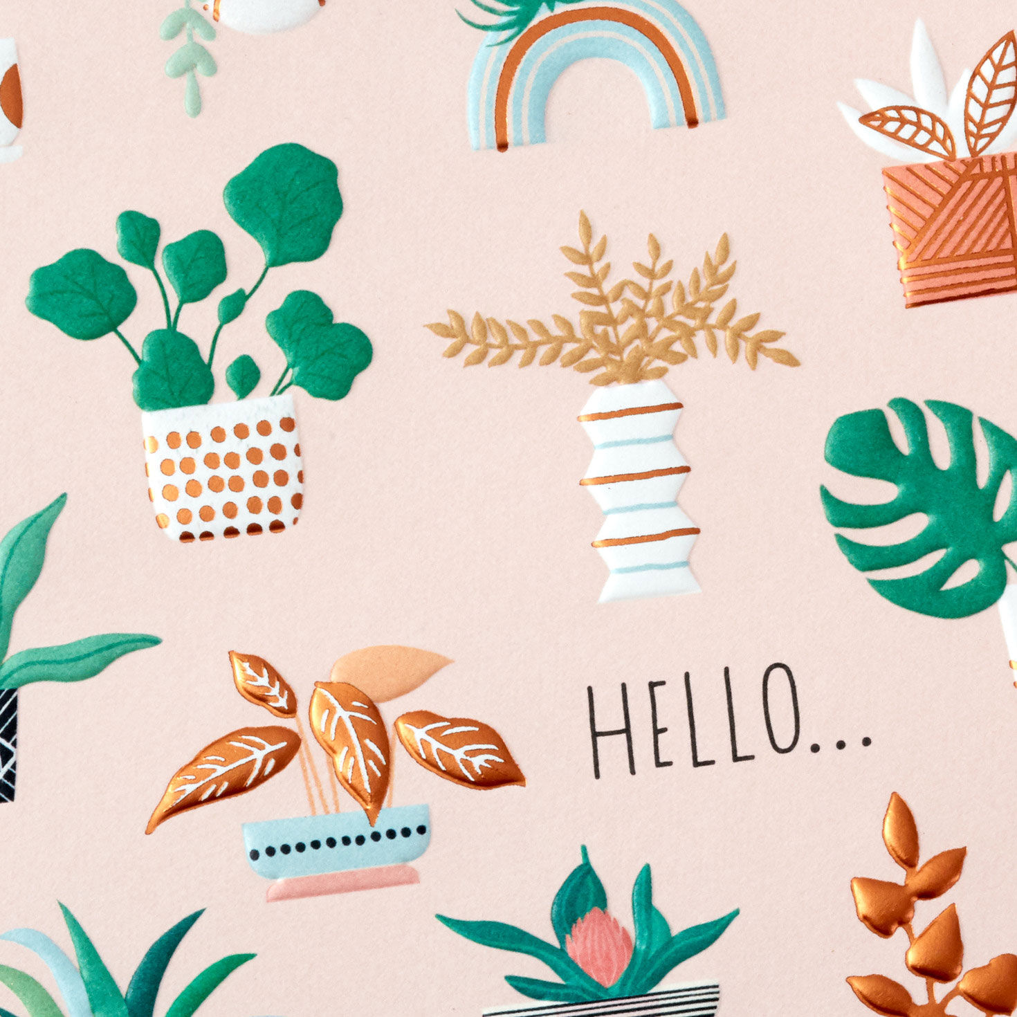 Touch of Elegance Assorted Boxed All-Occasion Cards, Pack of 12, , large image number 4