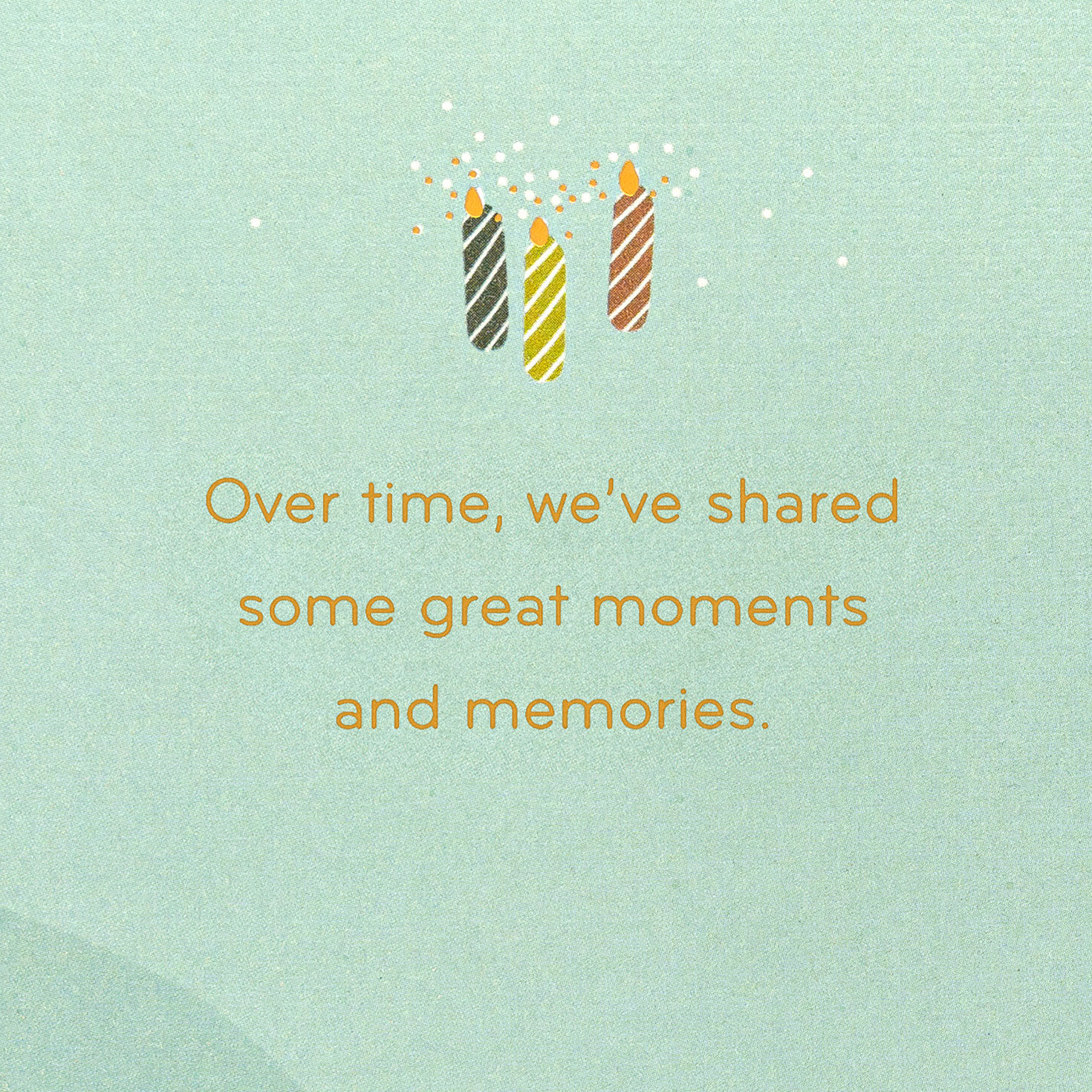 We&rsquo;ve Shared Great Moments Birthday Card for Stepson, , large image number 2