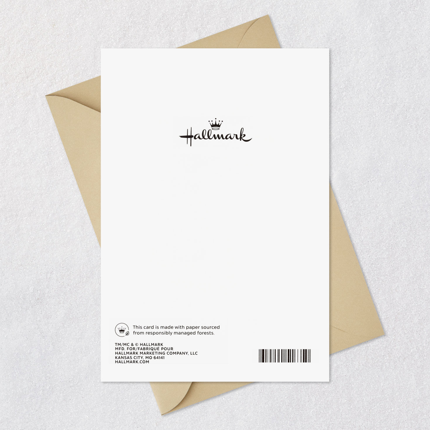 You Deserve Everything You Wish For Birthday Card for Brother From Sister, , large image number 8