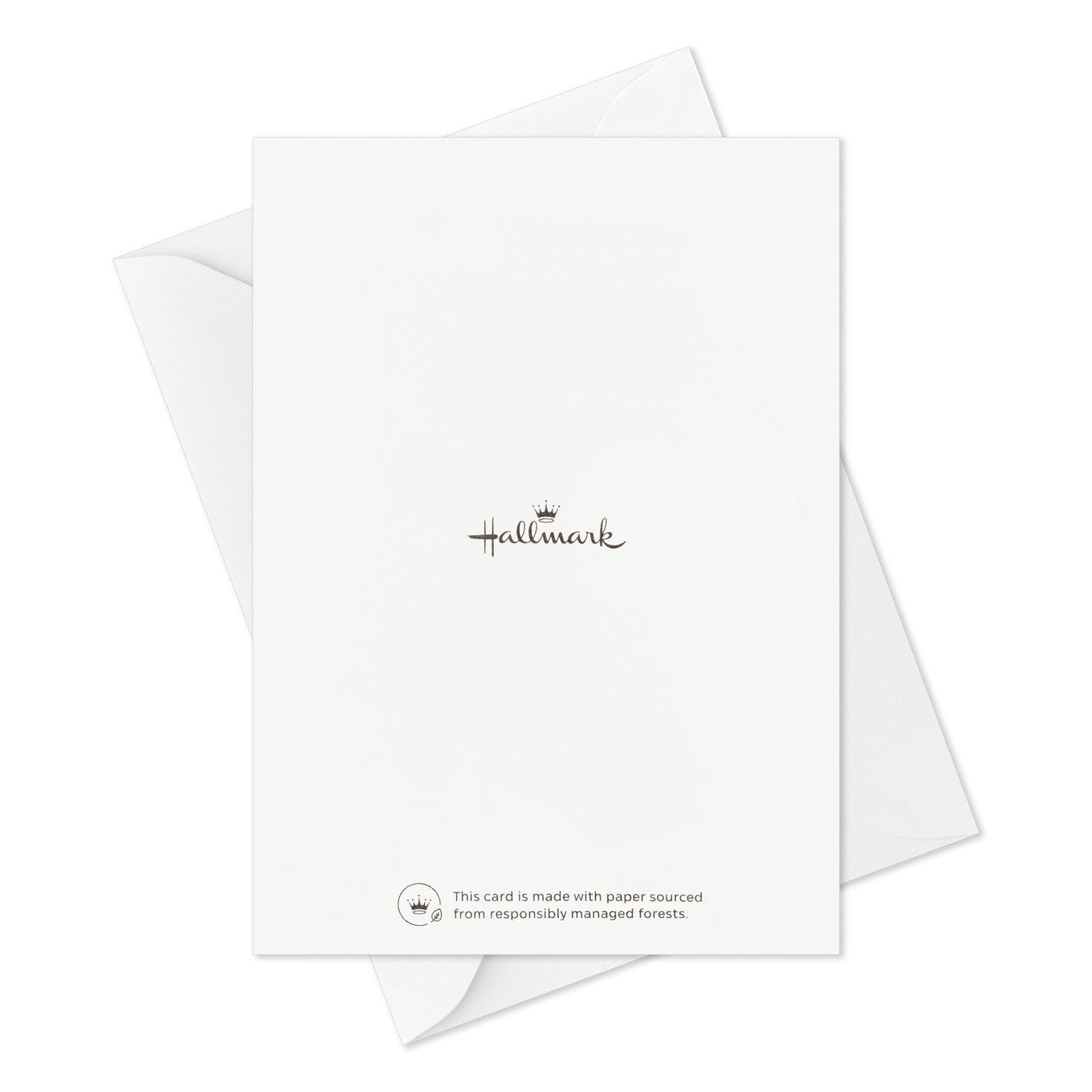 Potted Plant Booklet of All-Occasion Cards Card Back with Envelope image number 6