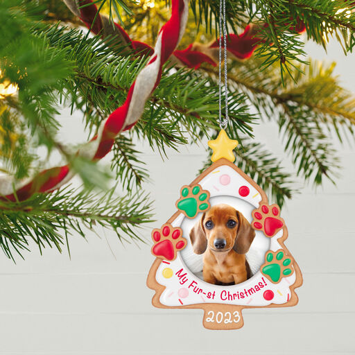 My Fur-st Christmas 2023 Photo Frame Ornament, 