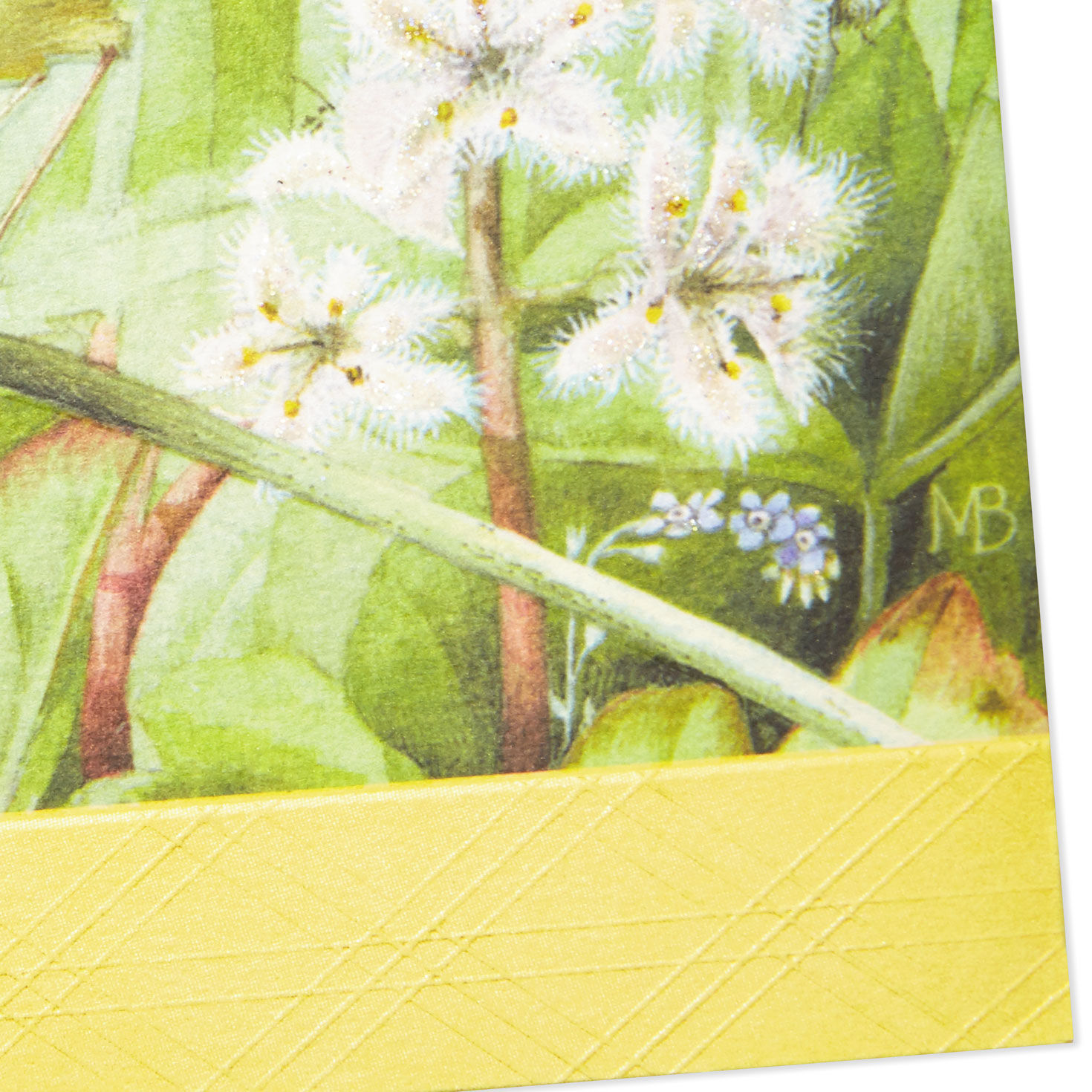 Marjolein Bastin It's Your Day to Shine Birthday Card for only USD 3.99 | Hallmark