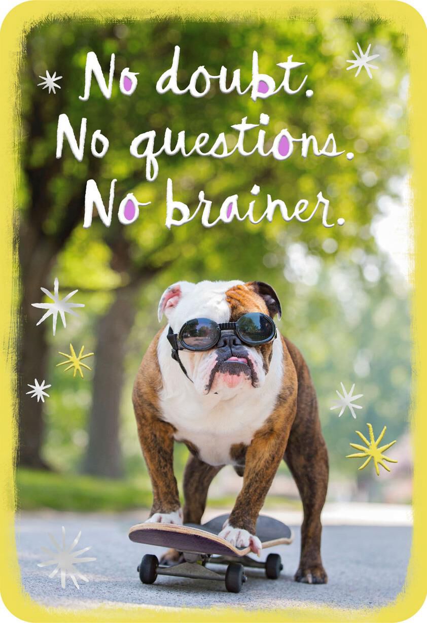 Dog on Skateboard You Can Do This Encouragement Card