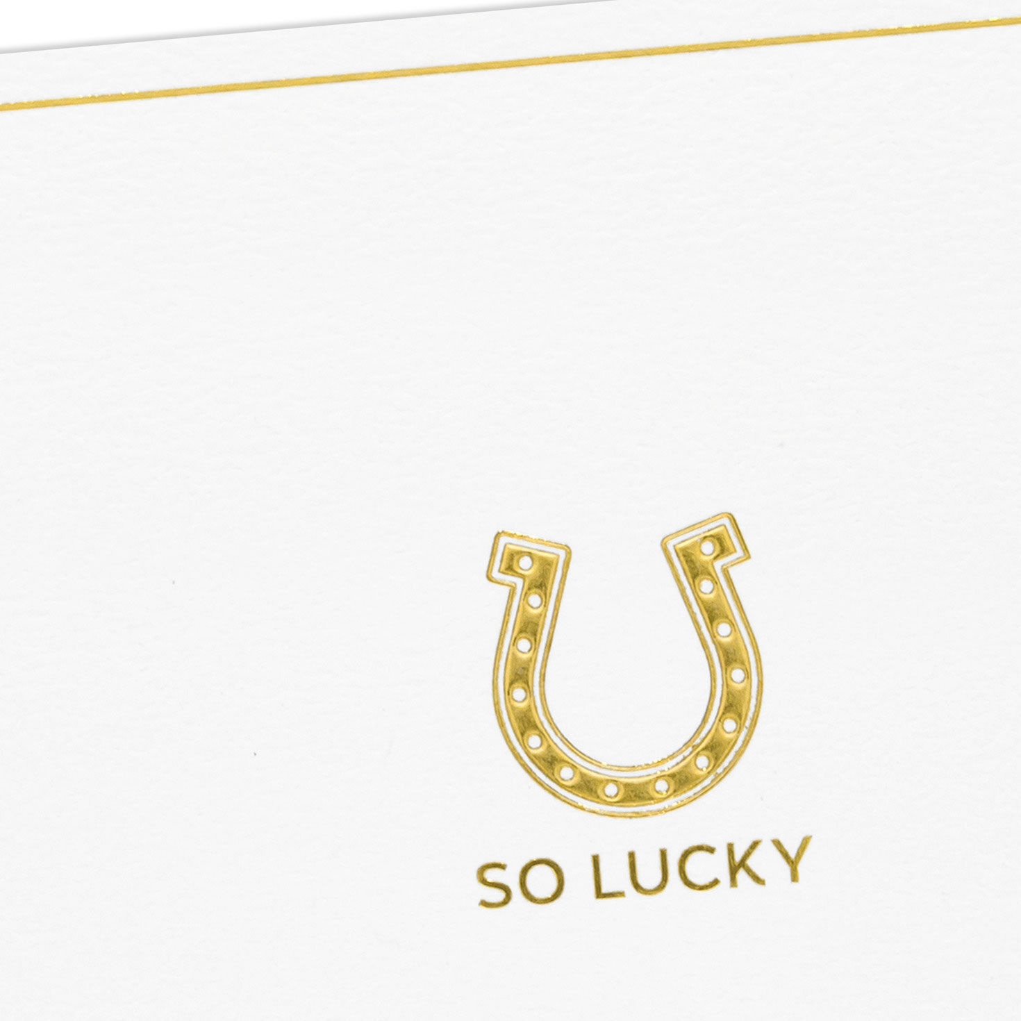 Lucky Horseshoe Boxed Blank Note Cards Pack Cover Detail image number 4