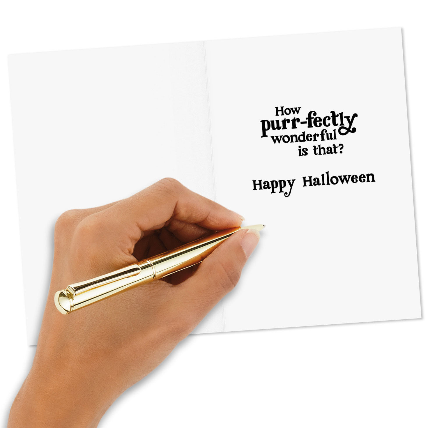 Black Kitty on Orange Halloween Cards Pack Signing card image number 5