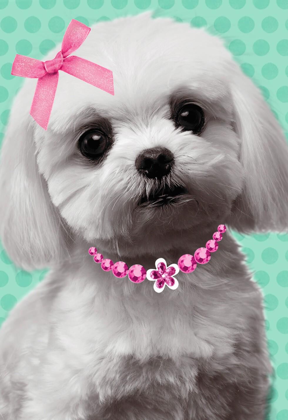 White Puppy with Pink Bow Birthday Card for Daughter