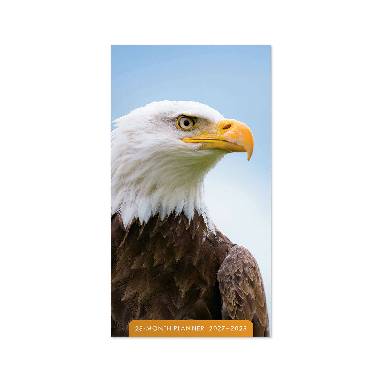 Bald Eagle 2027-2028 Inspirational Pocket Planner, 28-Month