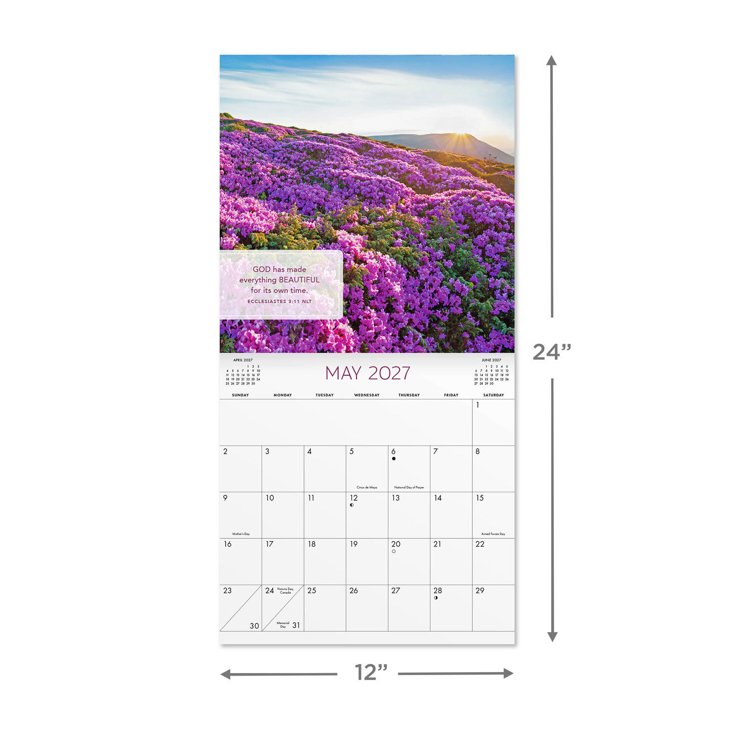 DaySpring Bible Verses 2027 12-Month Wall Calendar measurement image number 4