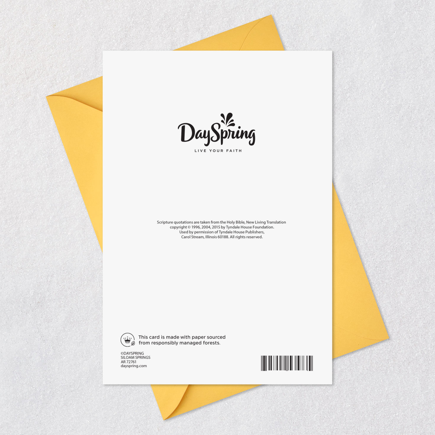 You're a Precious Blessing Religious Baby's First Easter Card, , large image number 8