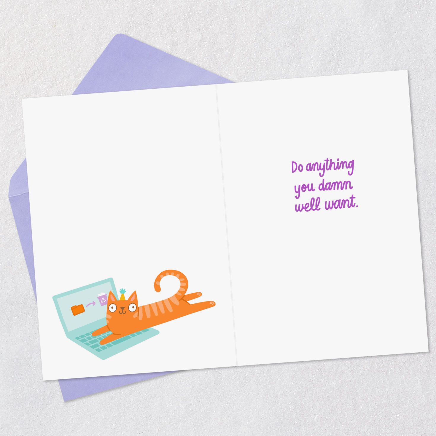 Do Anything You Damn Well Want Funny Birthday Card Open card with envelope image number 3