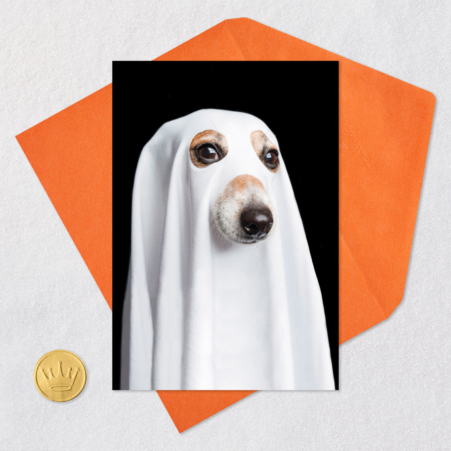 Things That Go Bark in the Night Funny Halloween Card Card Front with Envelope and Gold Seal image number 5