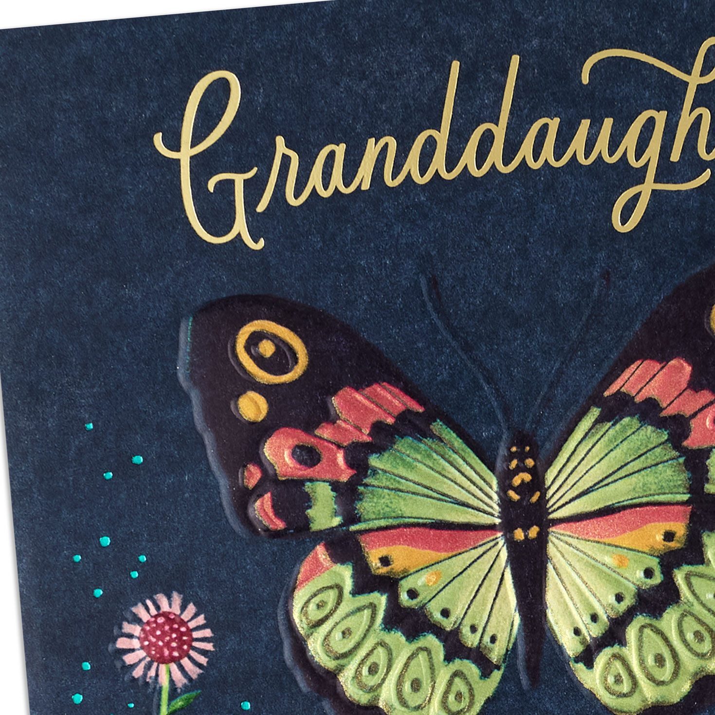 Follow Your Own Path Graduation Card for Granddaughter for only USD 5.99 | Hallmark