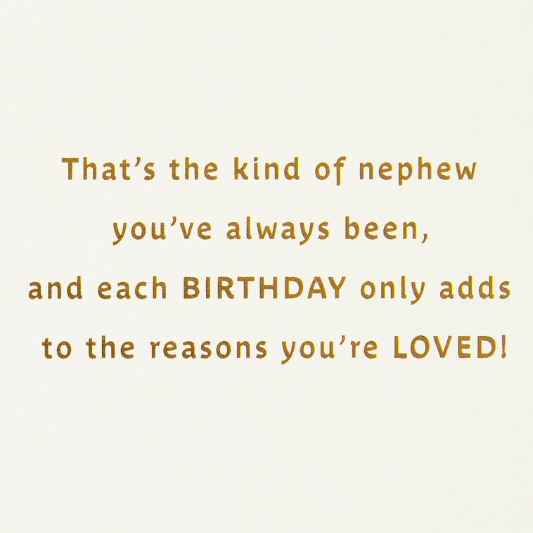 All the Reasons You're Loved Birthday Card for Nephew, , large image number 2