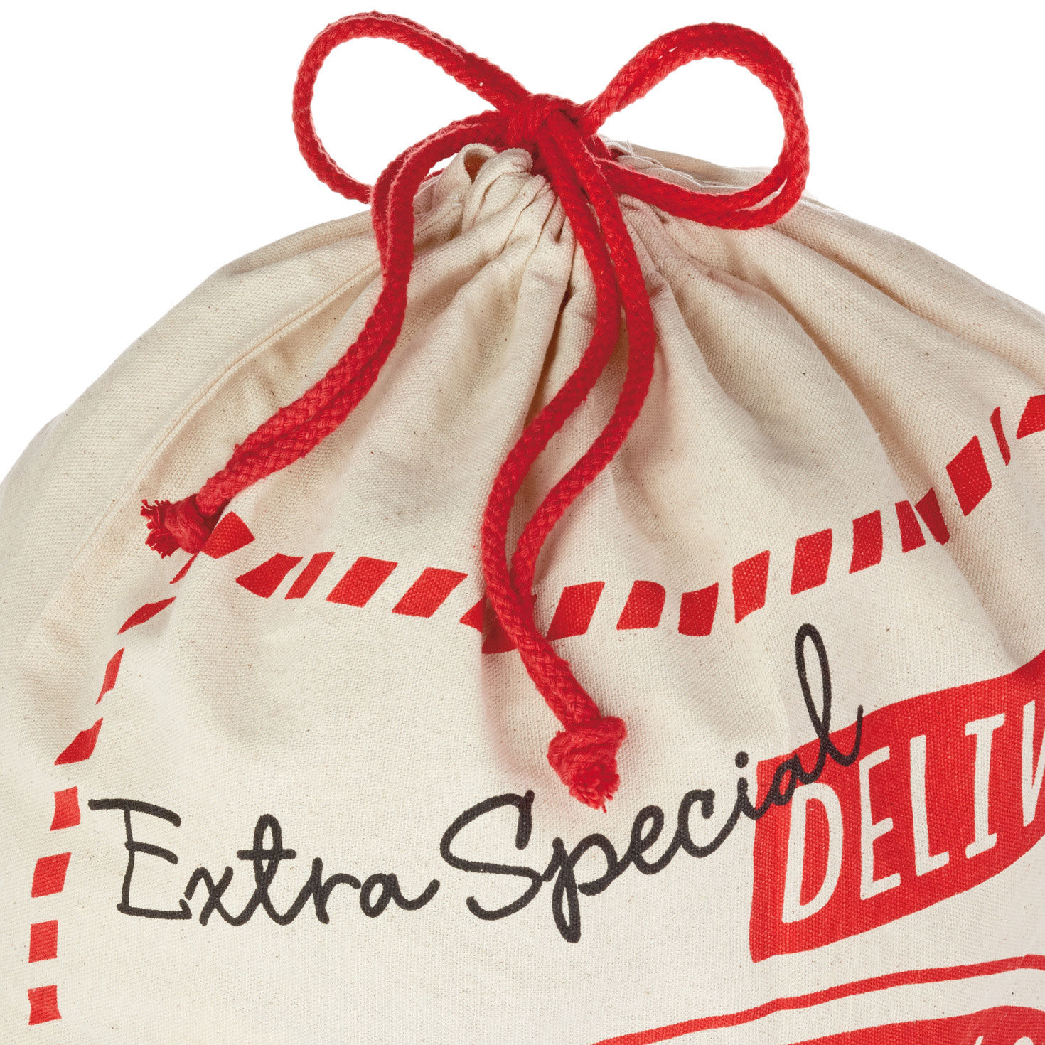 Special Delivery From Santa XL Fabric Gift Bag  image number 4