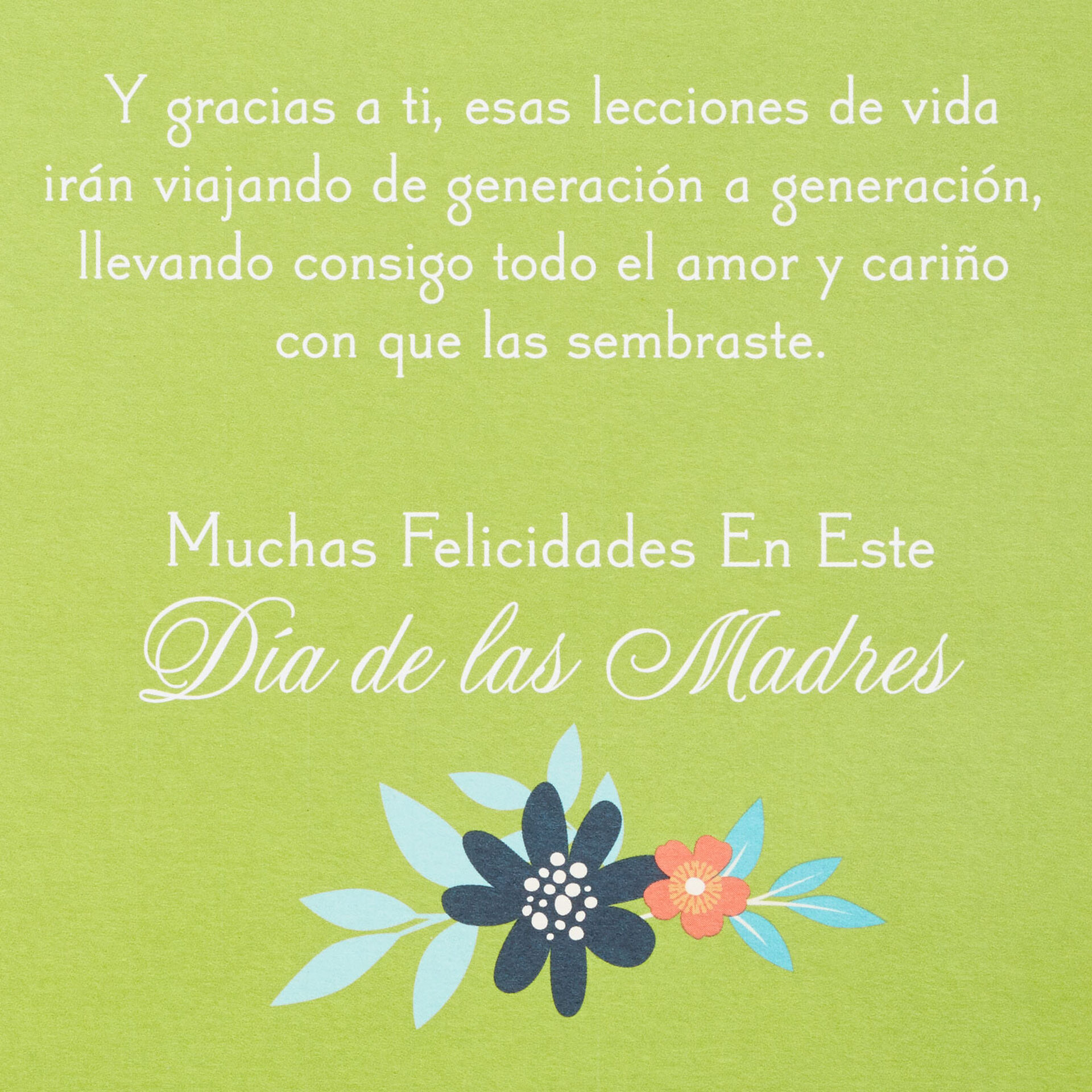 Abuela, You Are Beautiful SpanishLanguage Mother's Day
