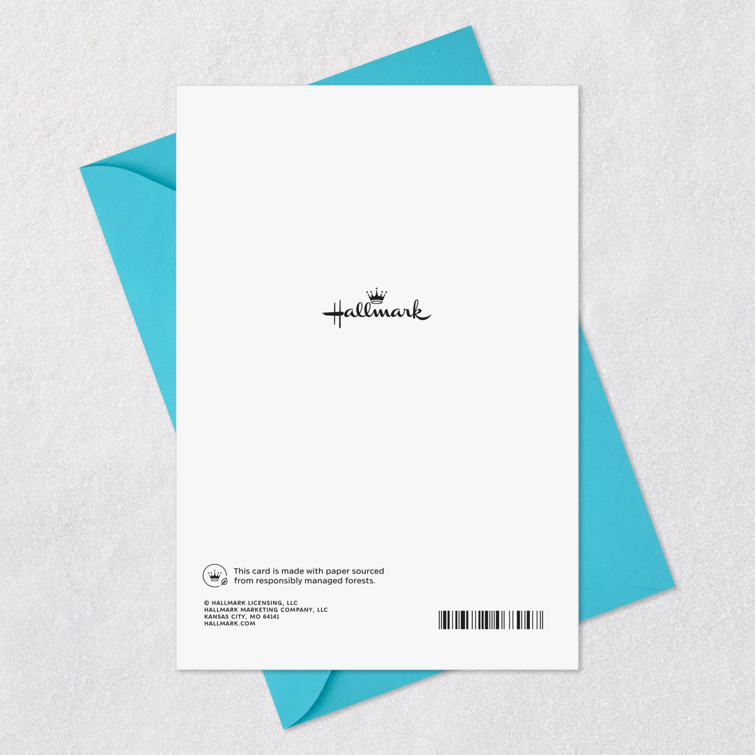 Watercolor Hummingbirds and Flowers Friendship Card Card Back with Envelope image number 7