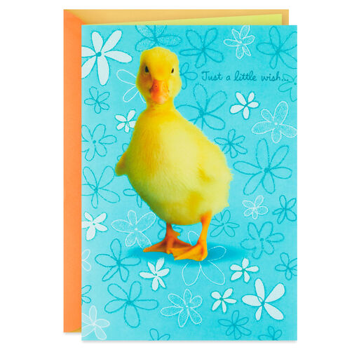 Warm and Fuzzy Easter Card, 