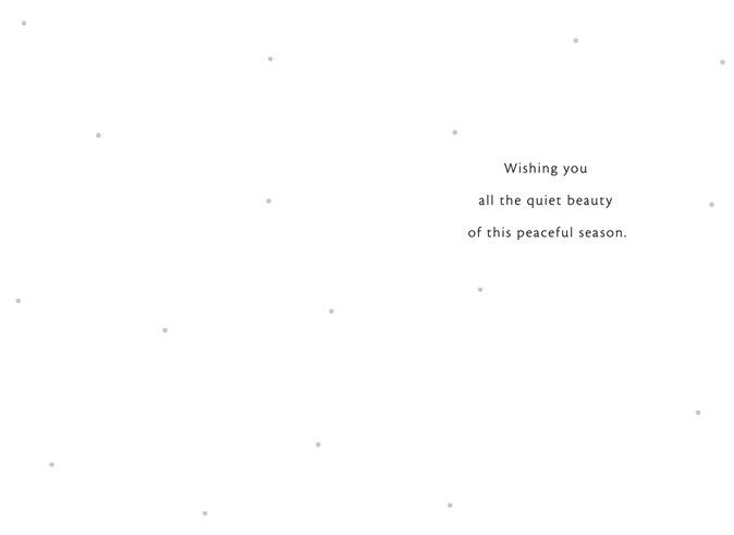 Winter Wonderland Snow Globe Christmas Card