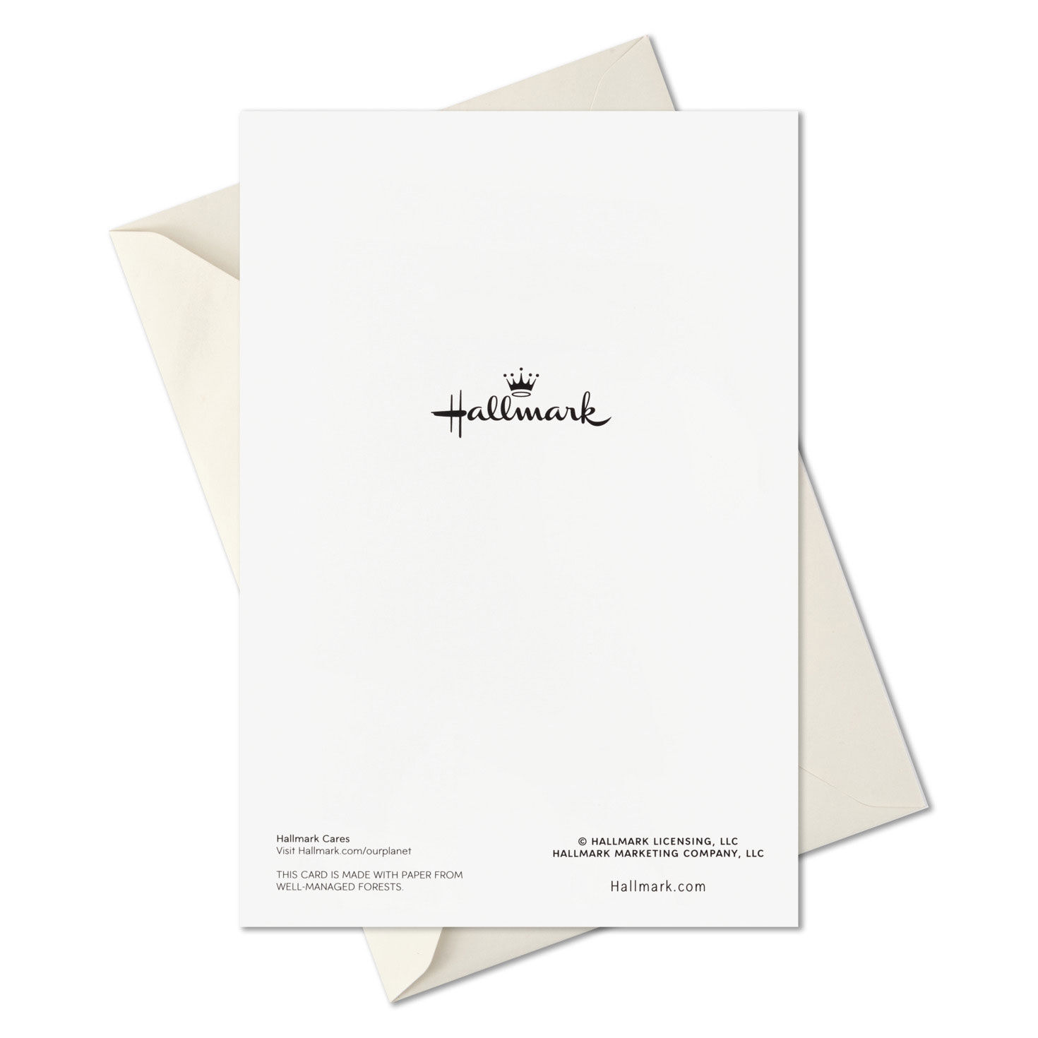 Christmas Keeps Us Believing Boxed Christmas Cards, Pack of 16, , large image number 7