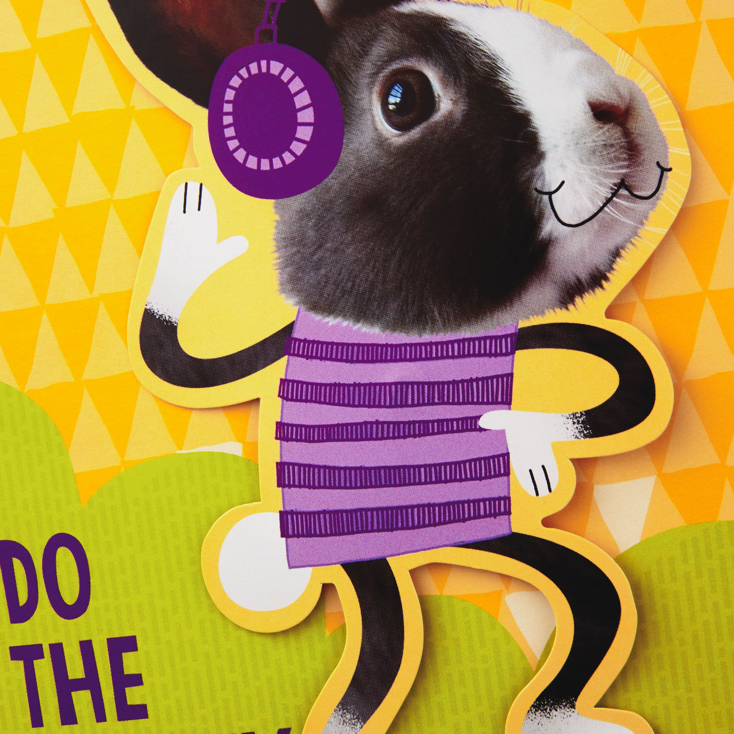 Bunny Dance Musical Easter Card With Motion Greeting Cards
