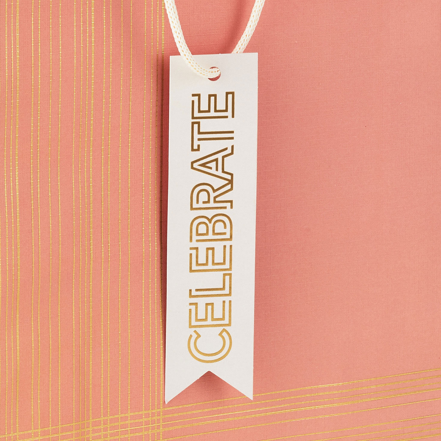 Gold Lines on Coral Large Gift Bag upclose detail image number 5
