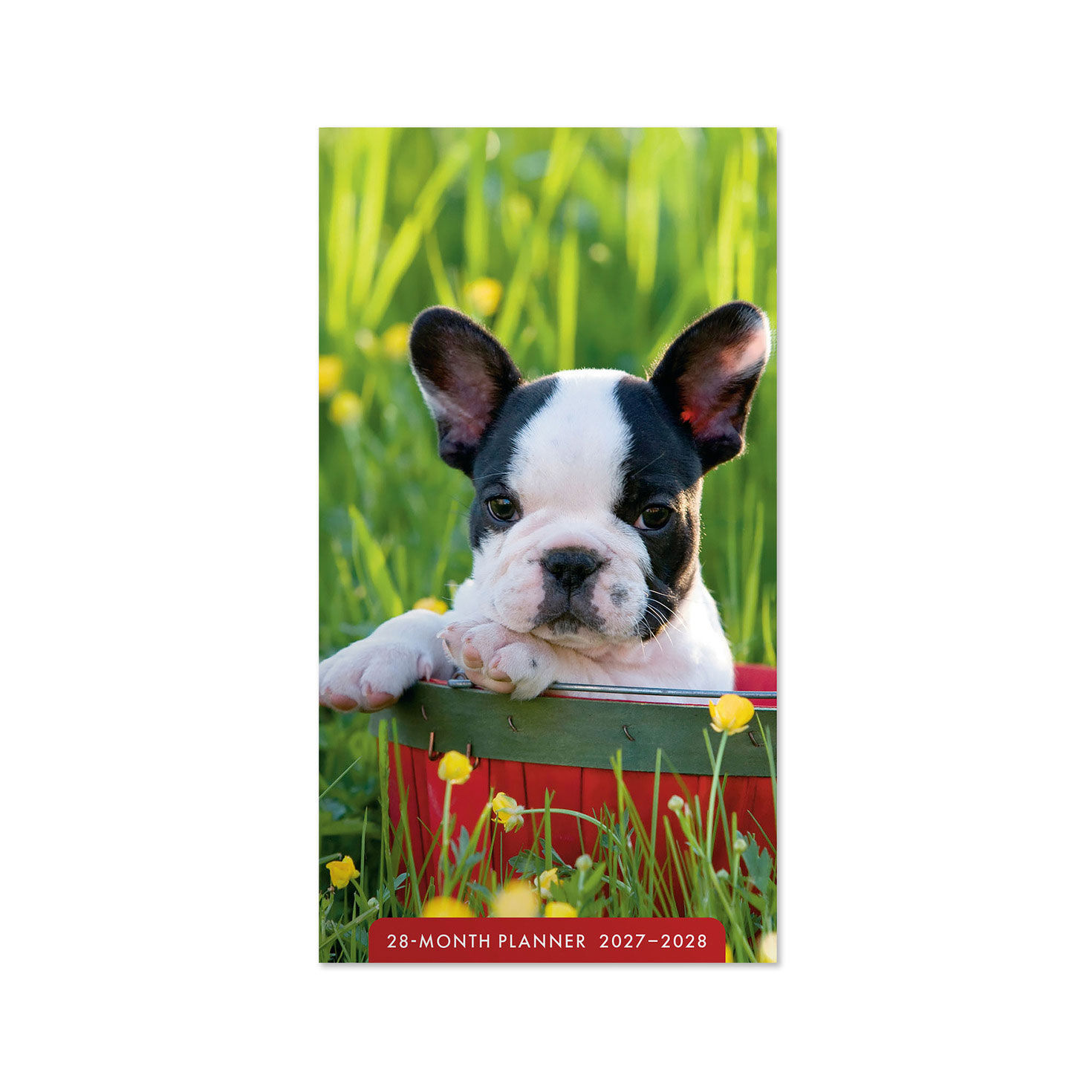 French Bulldog in Basket 2027-2028 Pocket Planner, 28-Month