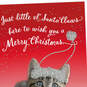 Little Ol' Santa Claws Christmas Card From the Cat, , large image number 4