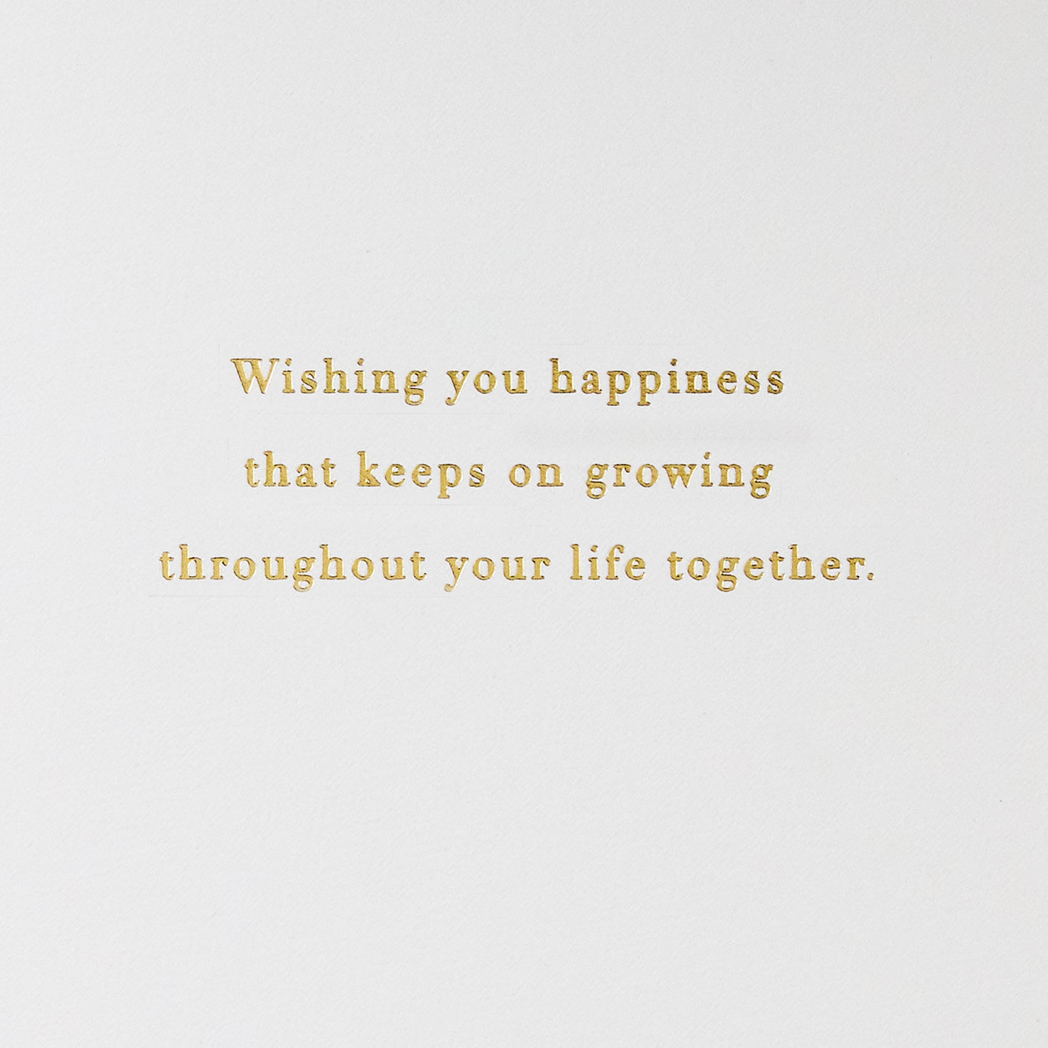 Sage and Gold Mr And Mrs Wedding Card sentiment image number 2