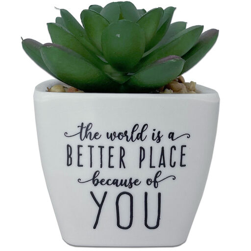 Faux Potted Succulent With Complimentary Message, 